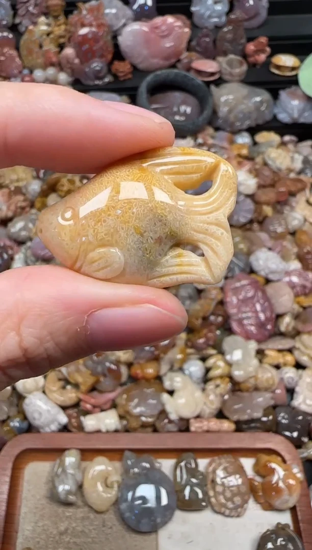 颈饰未镶嵌硅化珊瑚（珊瑚玉）343