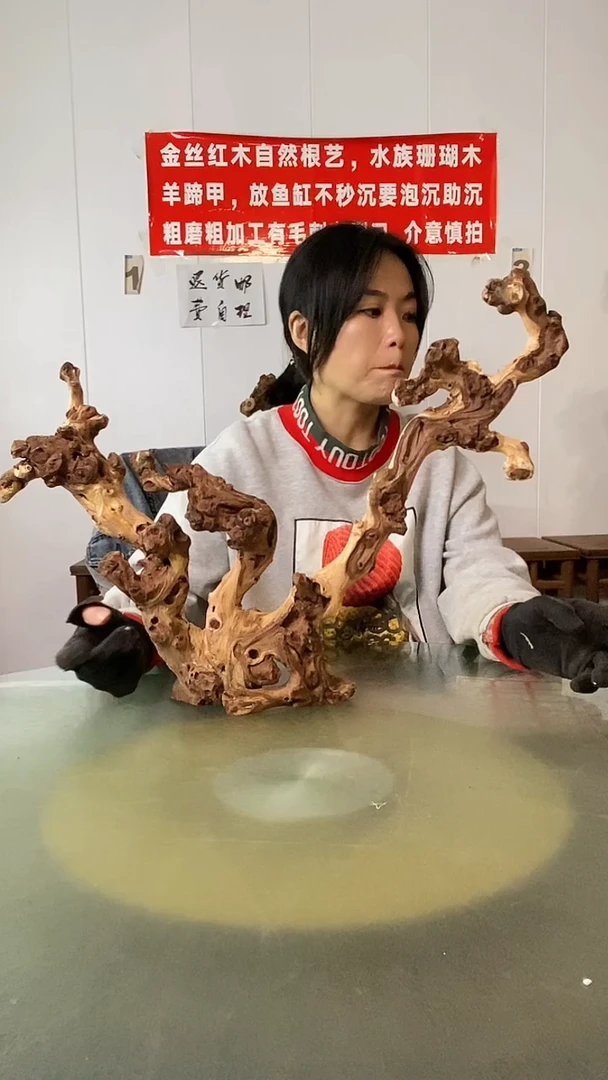 木燕*金丝红木  羊蹄甲