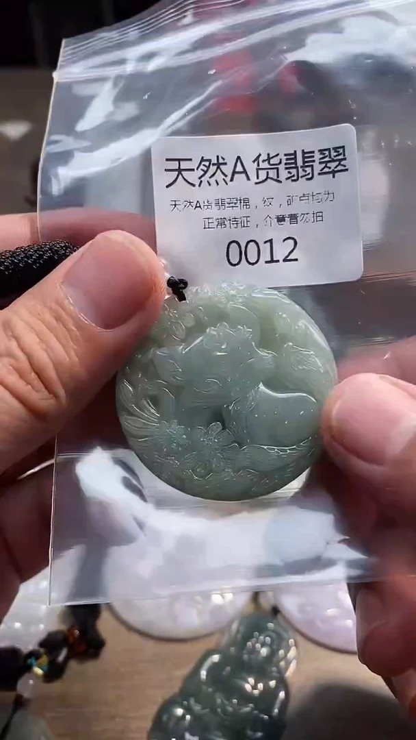 翡翠未镶嵌颈饰00020250602000012