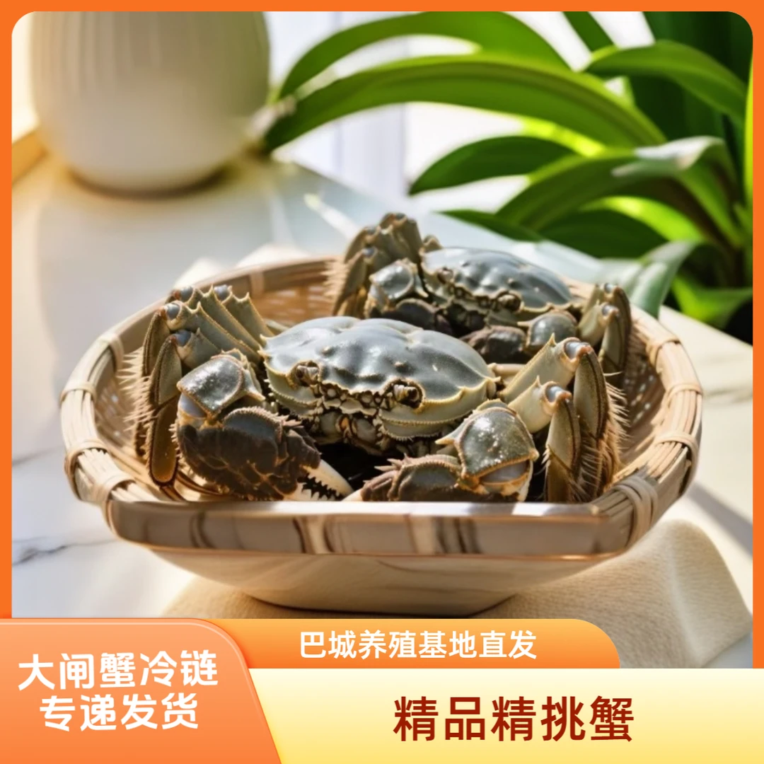【活蟹】蟹月楼巴城生态大闸蟹母蟹2.7-3.0两8只礼盒装去绳称重死蟹包赔海鲜河蟹