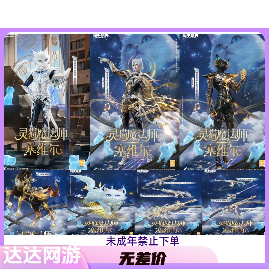 黑曜夜骑-马皮肤灵猫法师-初级红妆飞行器M416枪皮肤永久皮肤