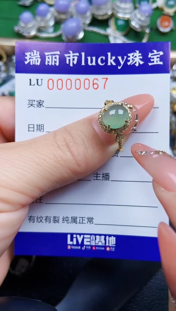 【闪购商品】翡翠颈饰银S925镶嵌0067