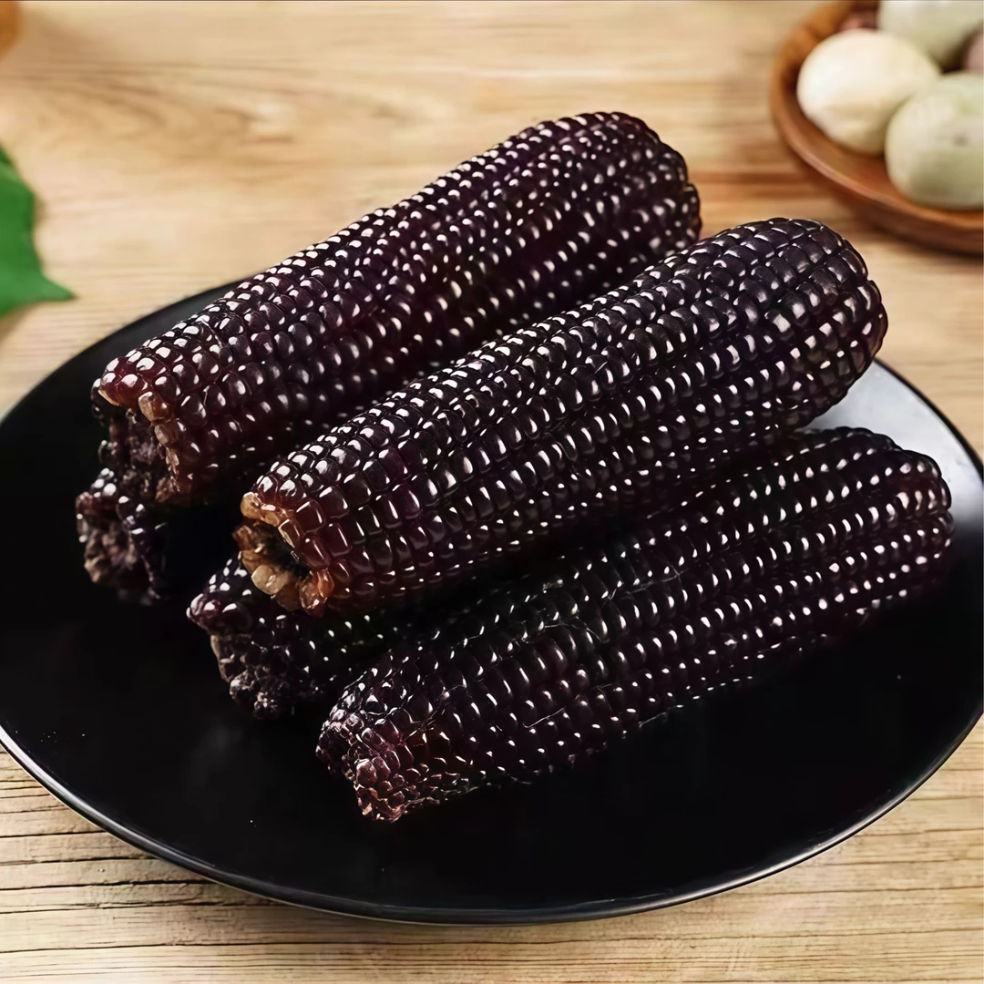 【整箱7-7.5斤】东北黑糯玉米软糯香甜产地直发试吃两根12根一整箱