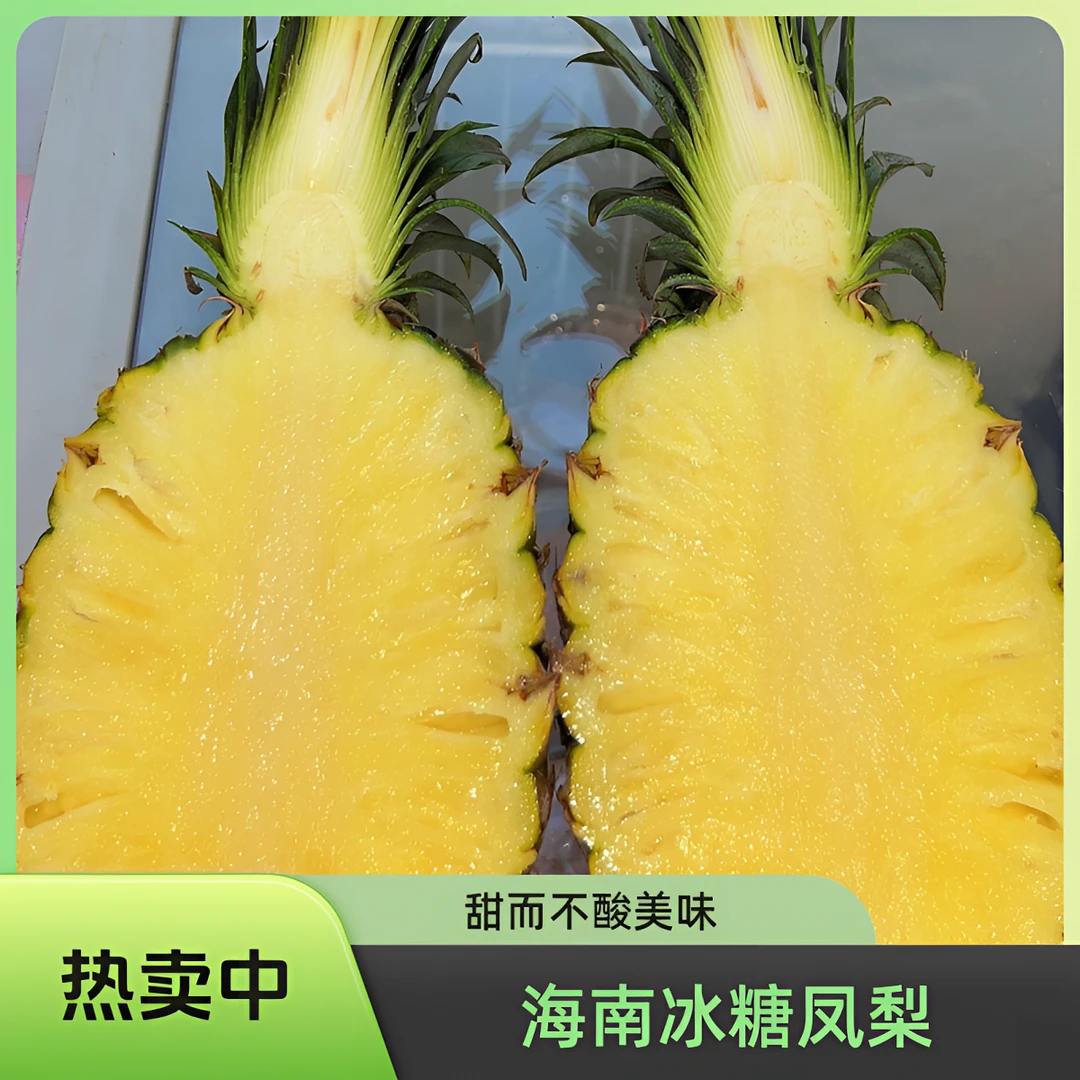 海南冰糖 金钻凤梨 直甜不酸 像吃西瓜一样吃凤梨 2个装 约3.5斤左右