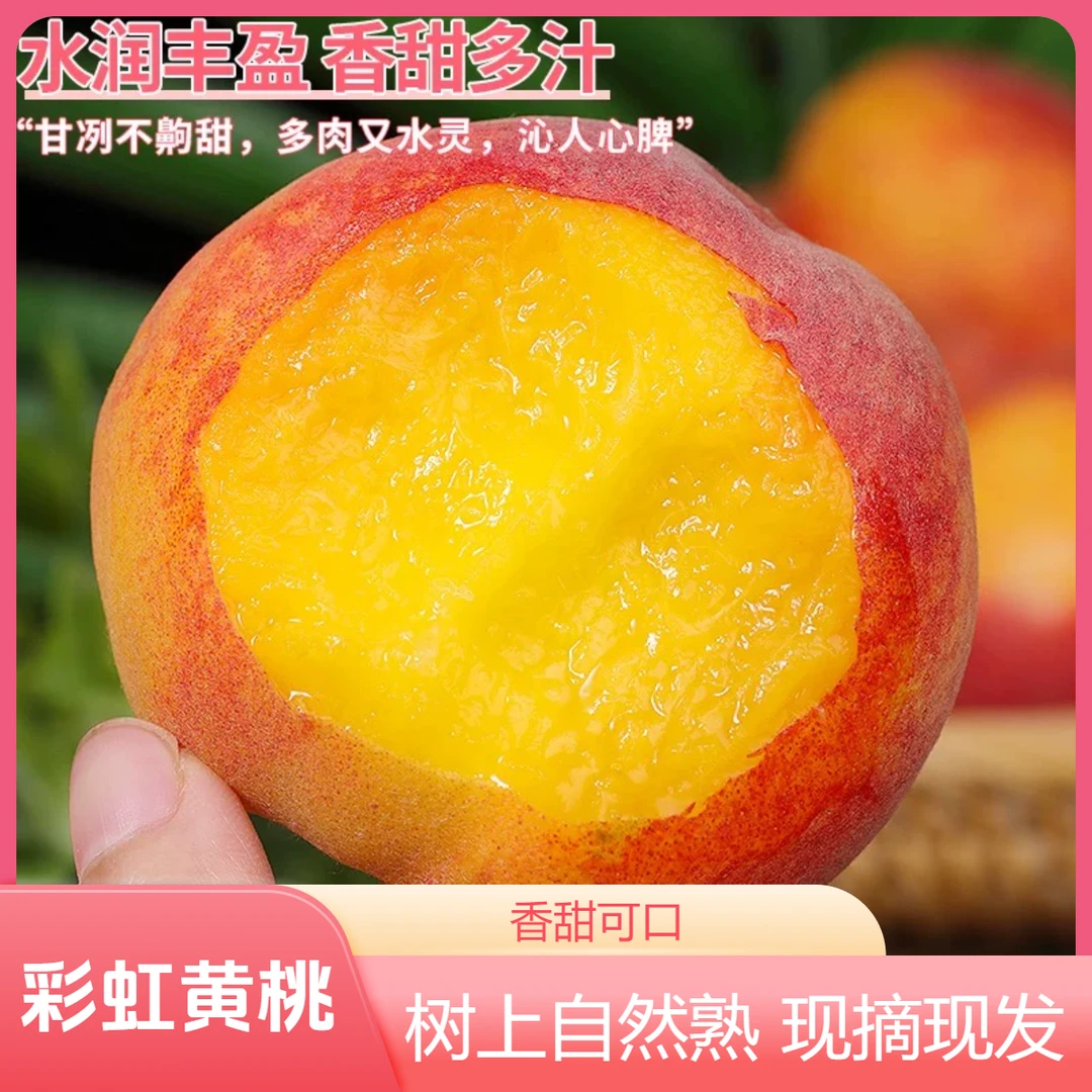 【5斤包邮】新鲜现摘彩虹黄桃水果当季桃子脆香甜黄金蜜桃带箱5斤