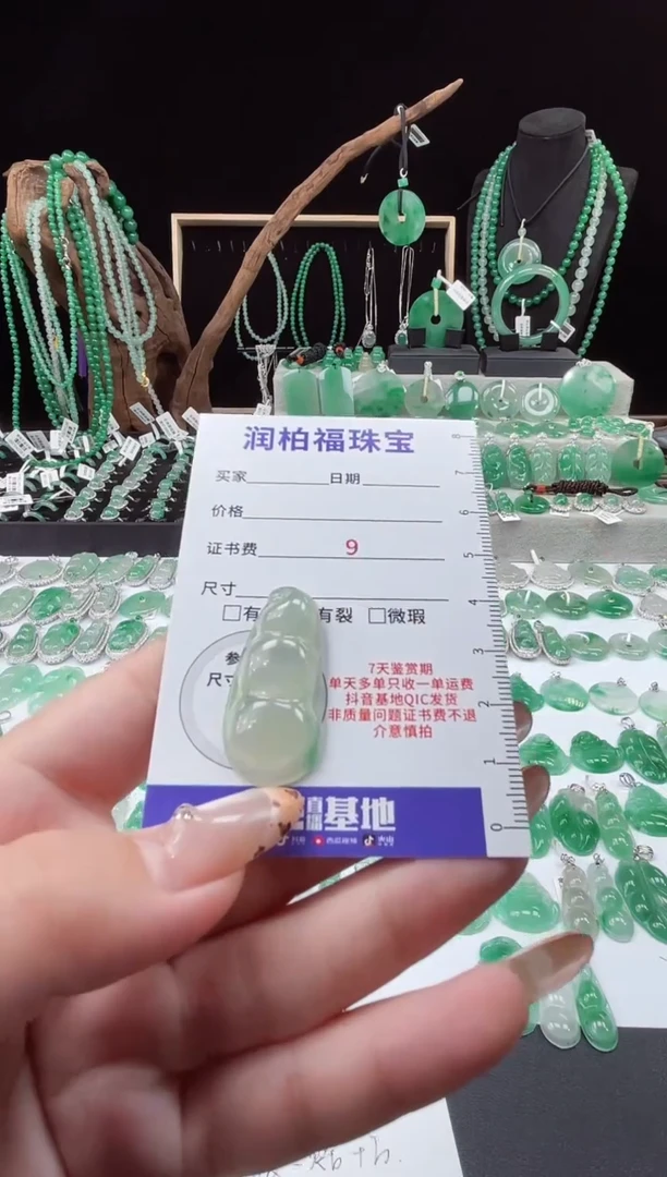 吊坠(赠链)未镶嵌石英质玉（非洲翠）福豆17.651