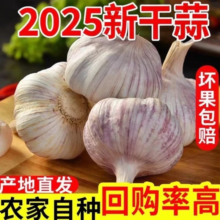 【粉丝专属】5斤杞县大蒜农家自种紫白皮大蒜产地直发