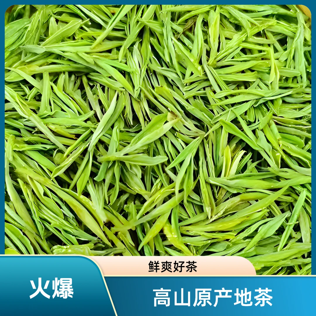 5A金镶玉2025新茶高山原产地鲜爽好茶