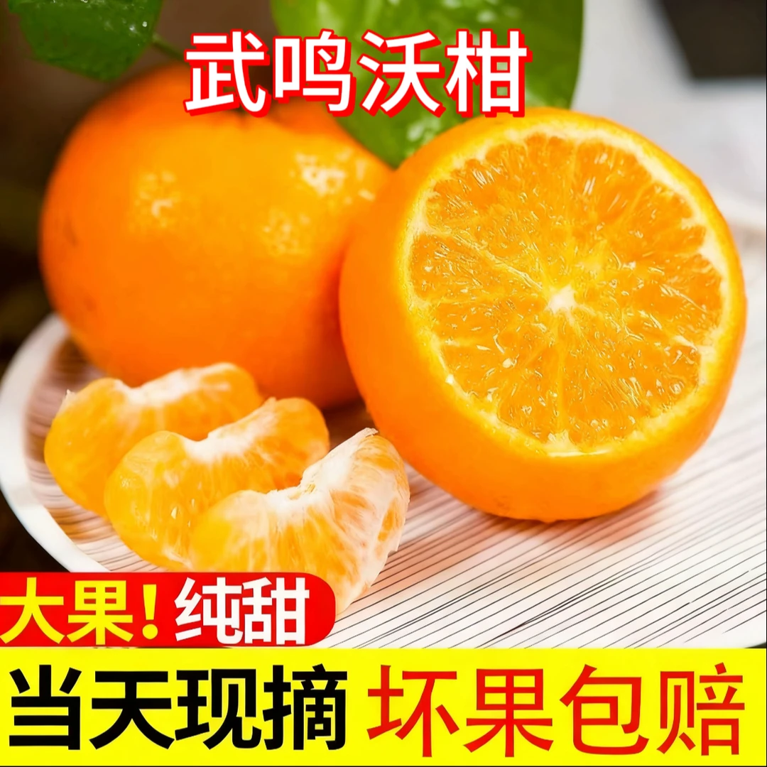 广西武鸣沃柑新鲜采摘产地直发当季柑橘甜蜜多汁水果