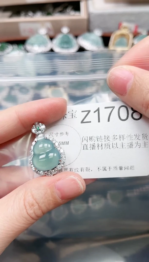 【闪购商品】翡翠颈饰未镶嵌赠皮绳1708