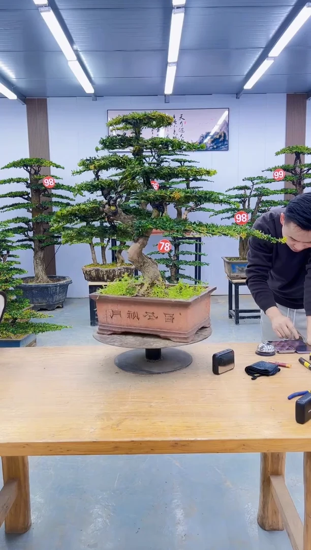 以实际为准0000000000