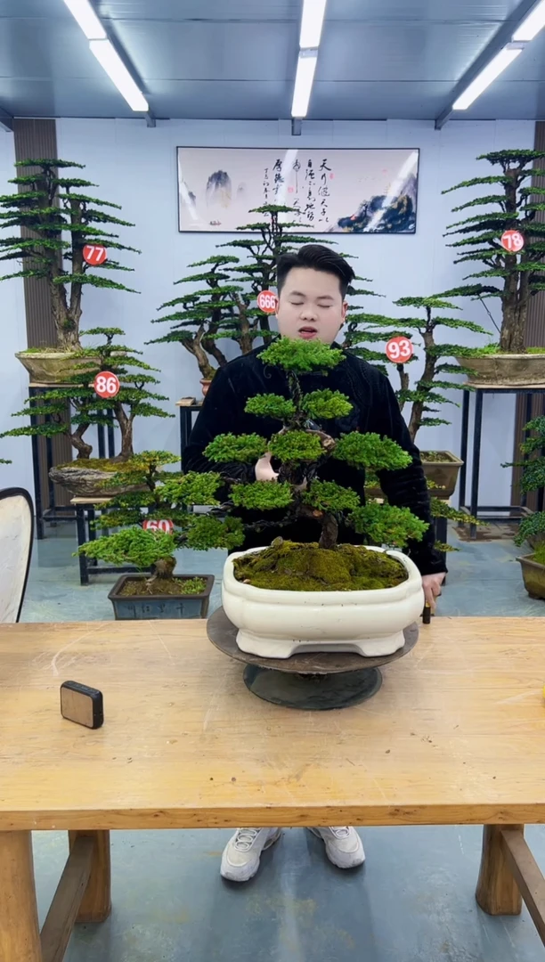 以实际为准000000000