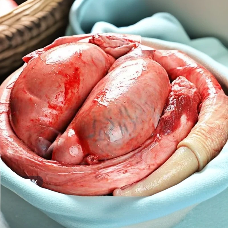 每日新鲜屠宰牛三宝