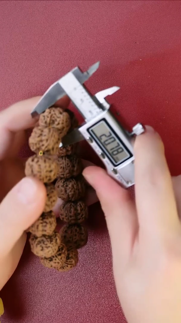 手串金刚菩提古龙梅花21