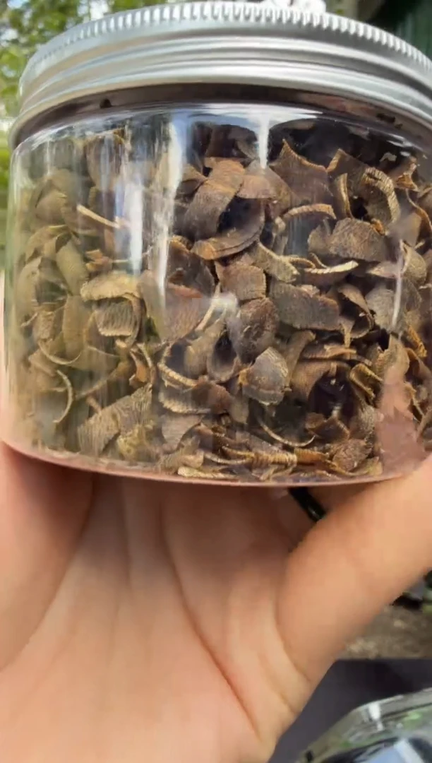 沉香沉香碎屑39克透顶绿原料多样性发货7号