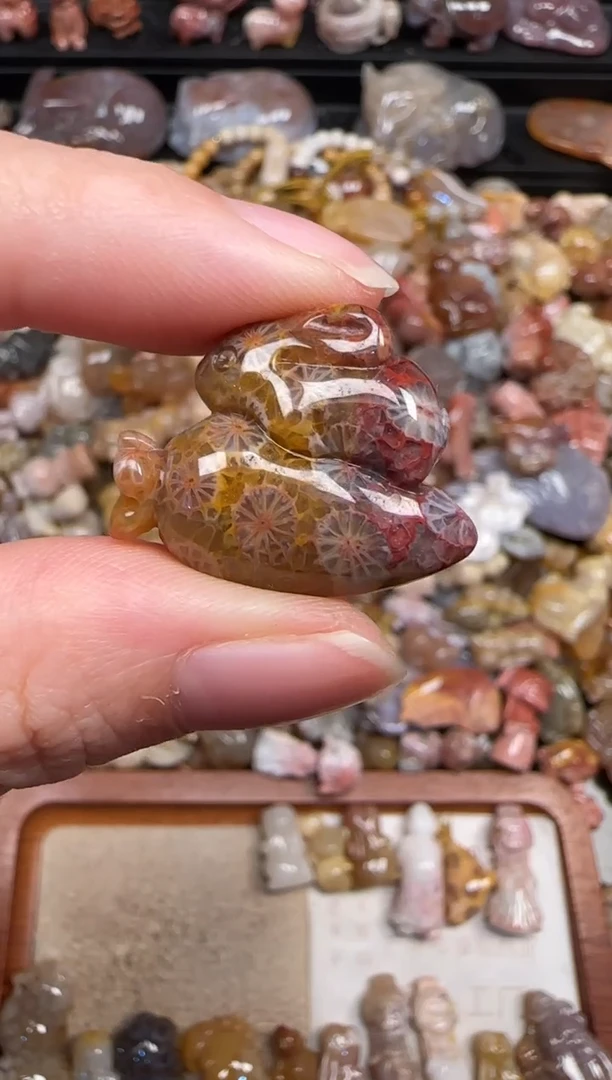 颈饰未镶嵌硅化珊瑚（珊瑚玉）794