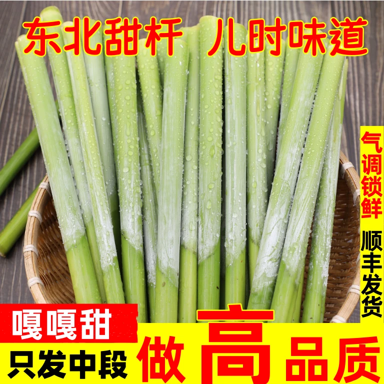 【甜脆爆汁】东北特产甜杆甜芦粟8090的回忆小时候味道嘎嘎甜小甘蔗