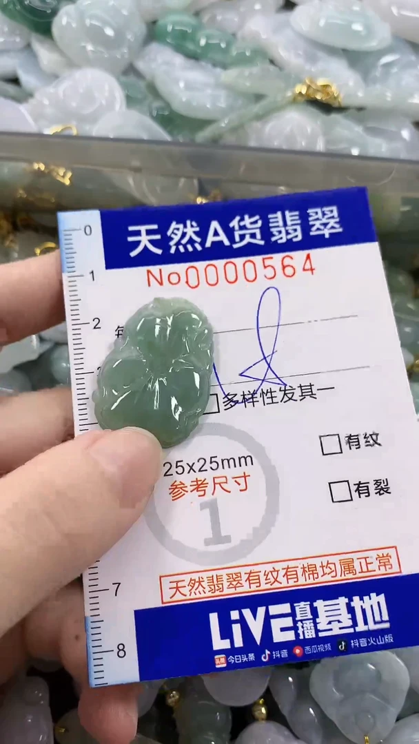 颈饰未镶嵌翡翠天然A货翡翠