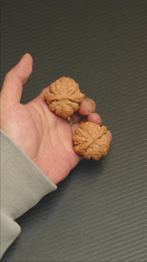 2025核桃季精品九龙41