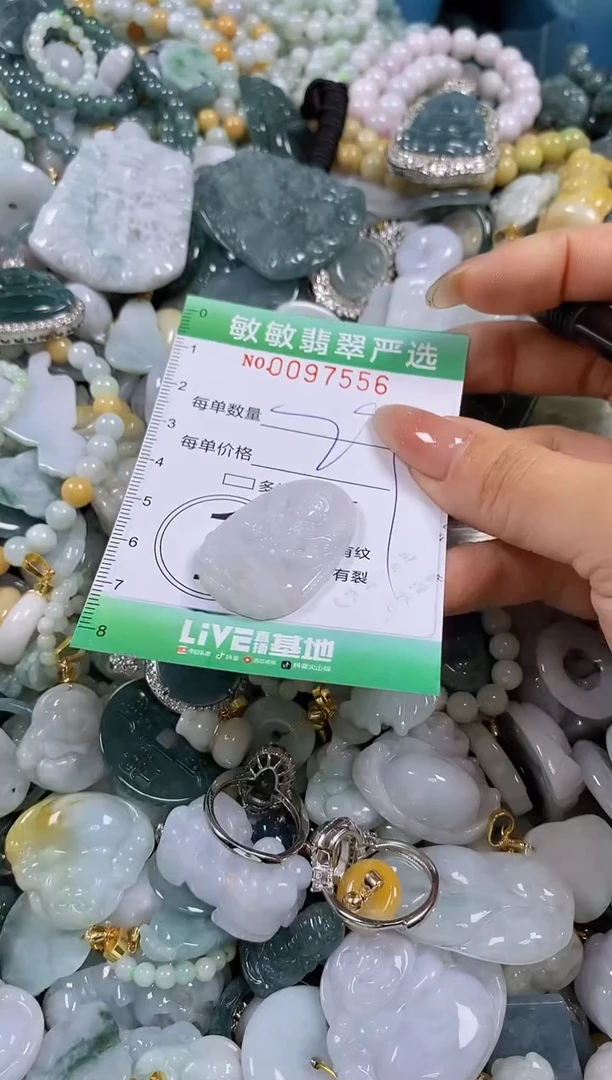 【闪购商品】翡翠颈饰未镶嵌闪购0097556