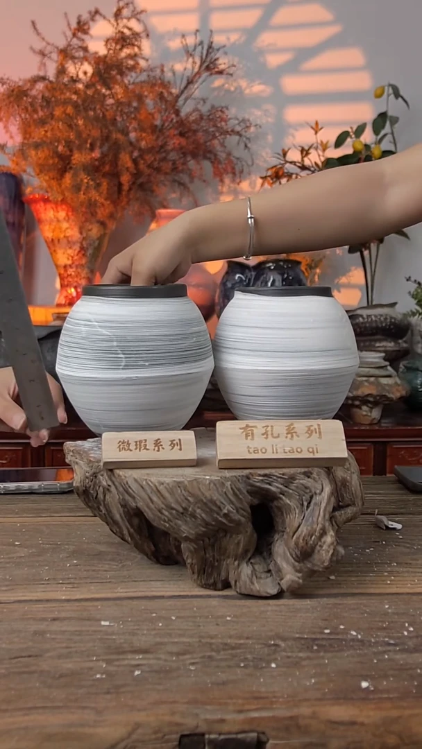 瓷片口径9高度14发两个