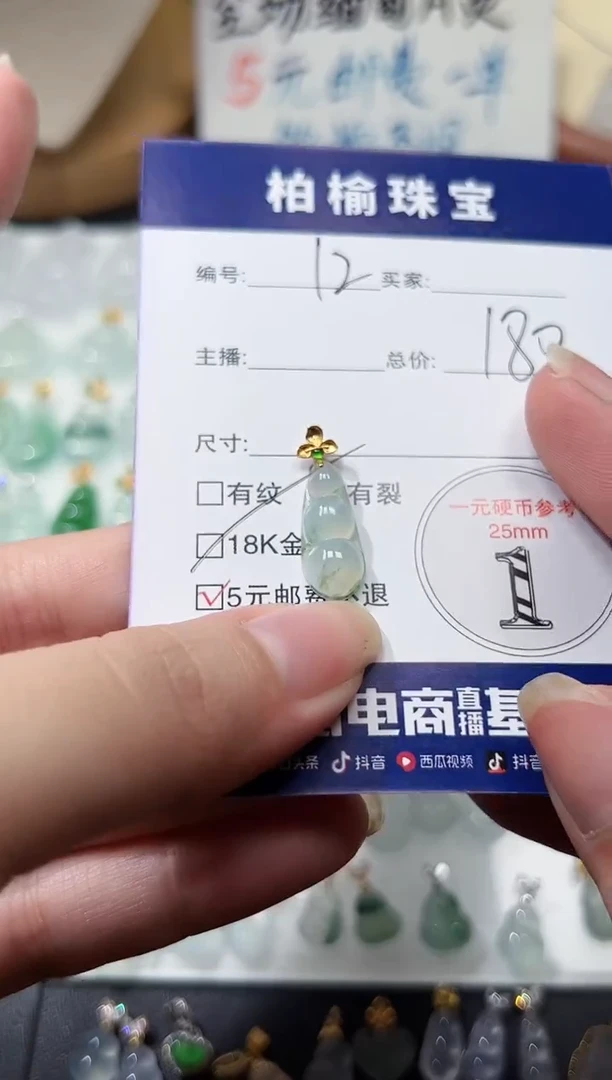 颈饰18K金镶嵌翡翠12豆子