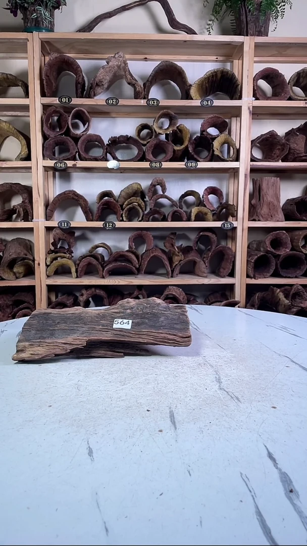 还****?云南紫柚木造景沉木564