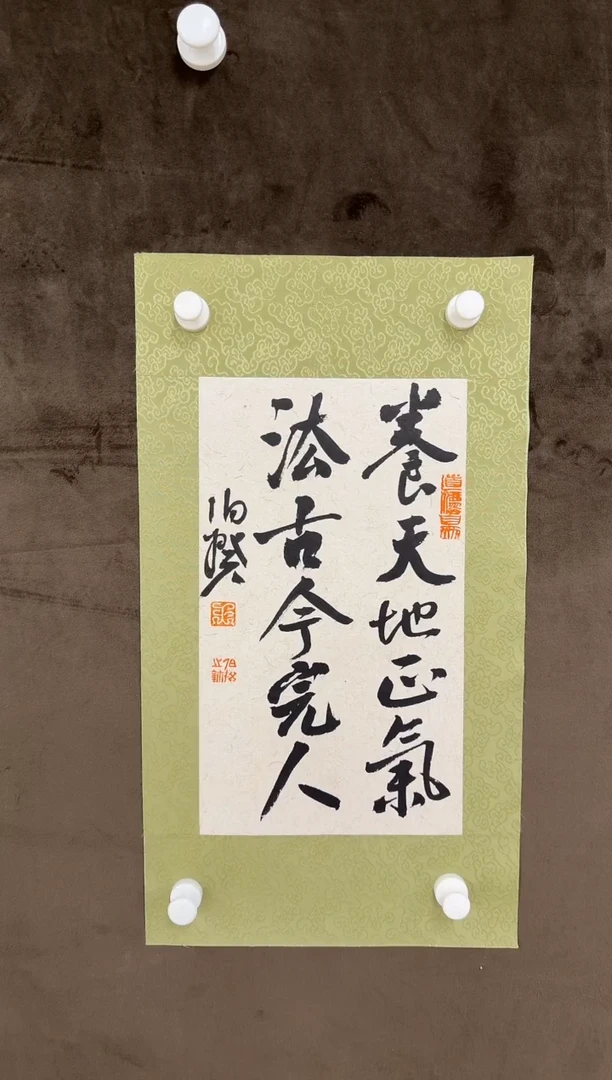 书法伯揆书法原作作品 半平尺软片发货