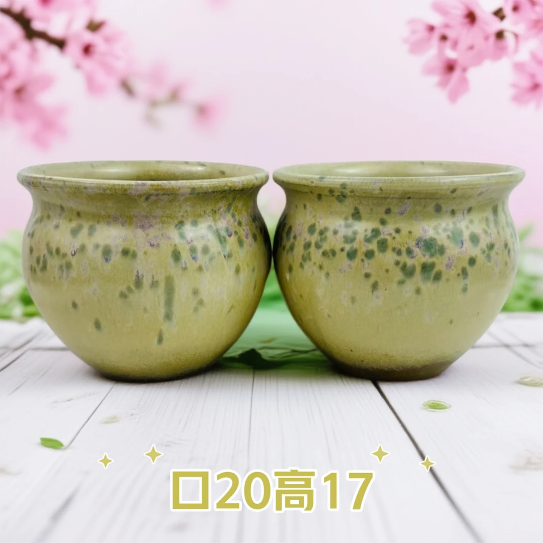 2027口20群生老桩飘枝九尾狐兰花多肉花盆粗陶绿植人工