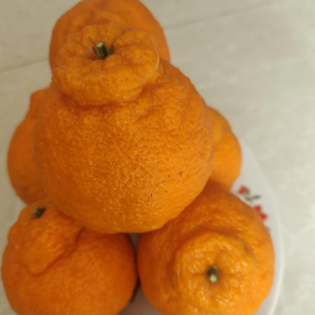 四川丑橘新鲜现摘现发当季水果丑八怪橘子