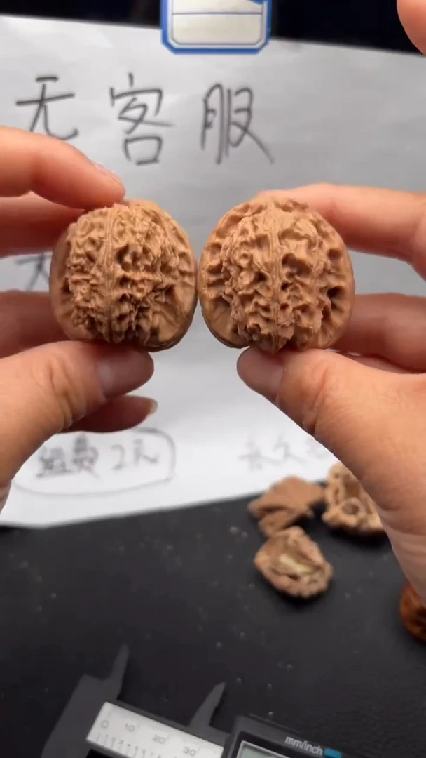 把件文玩核桃747白狮子