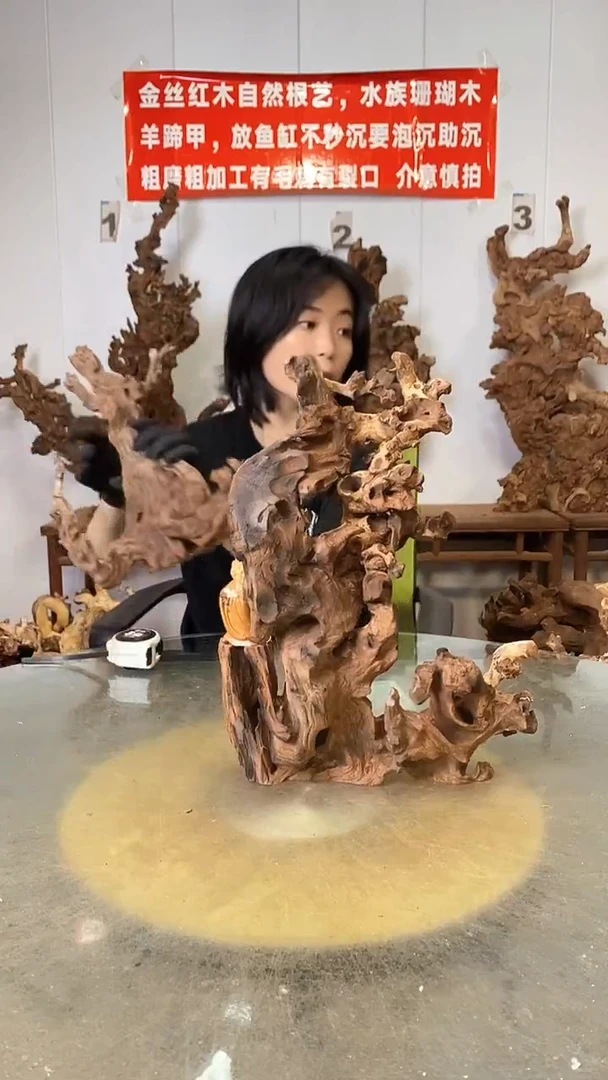 香榧木@*为金丝红木   羊蹄甲