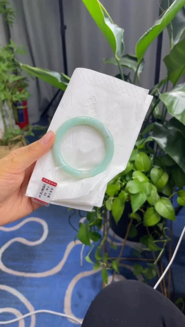 未镶嵌手镯翡翠3180