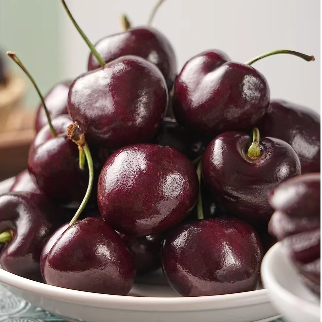 【探险噗噗】智利海运新鲜桑提娜车厘子2JD-4JD包邮内附果径卡