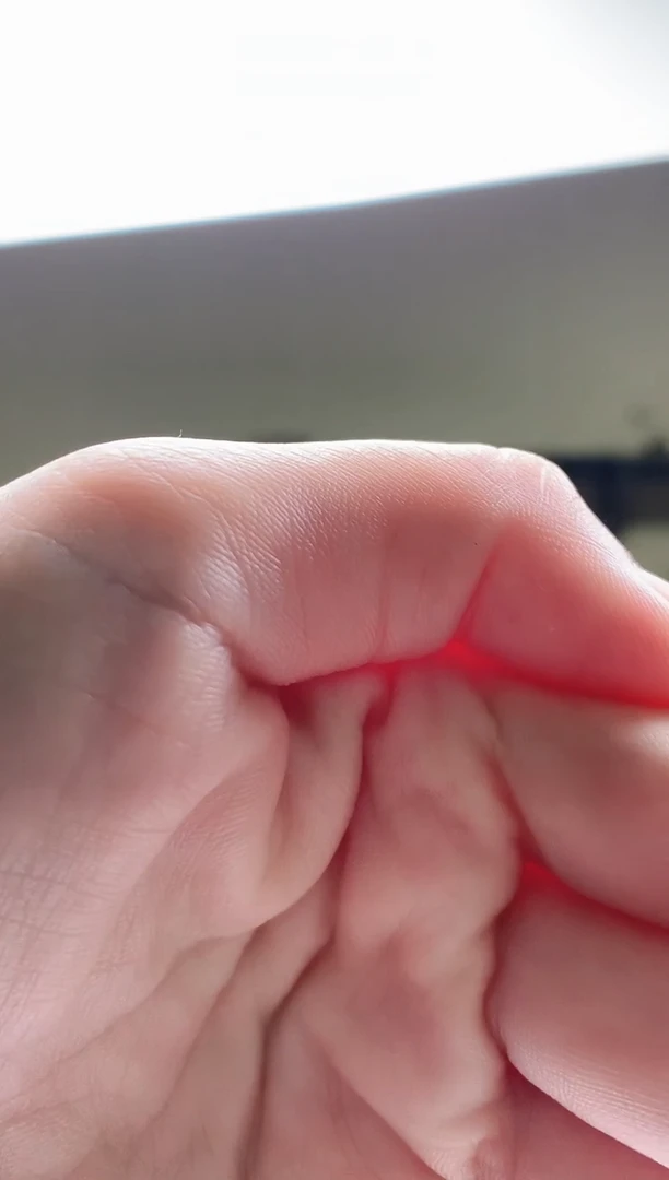 翡翠未镶嵌颈饰鲨**青1103ry-jj挂件1