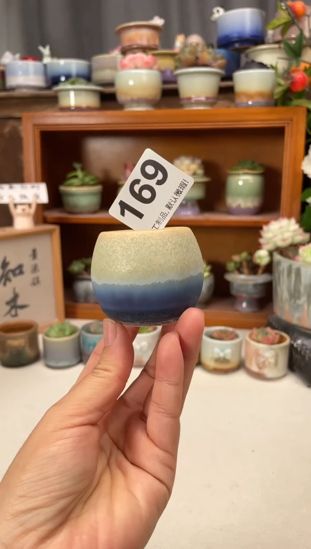 瓷片169知木小芳花盆直播编号