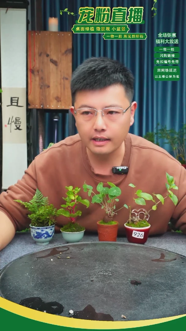 无花朵d****2苔藓微景观926号