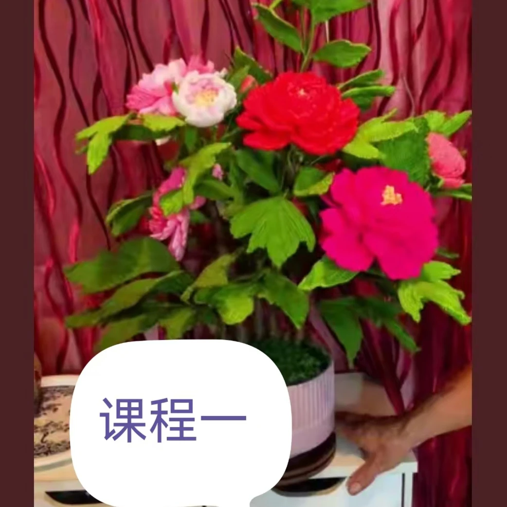 雨蝶原创课程一，263节课，共18款精品花