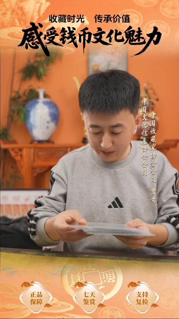 马钞生肖纪念钞十连