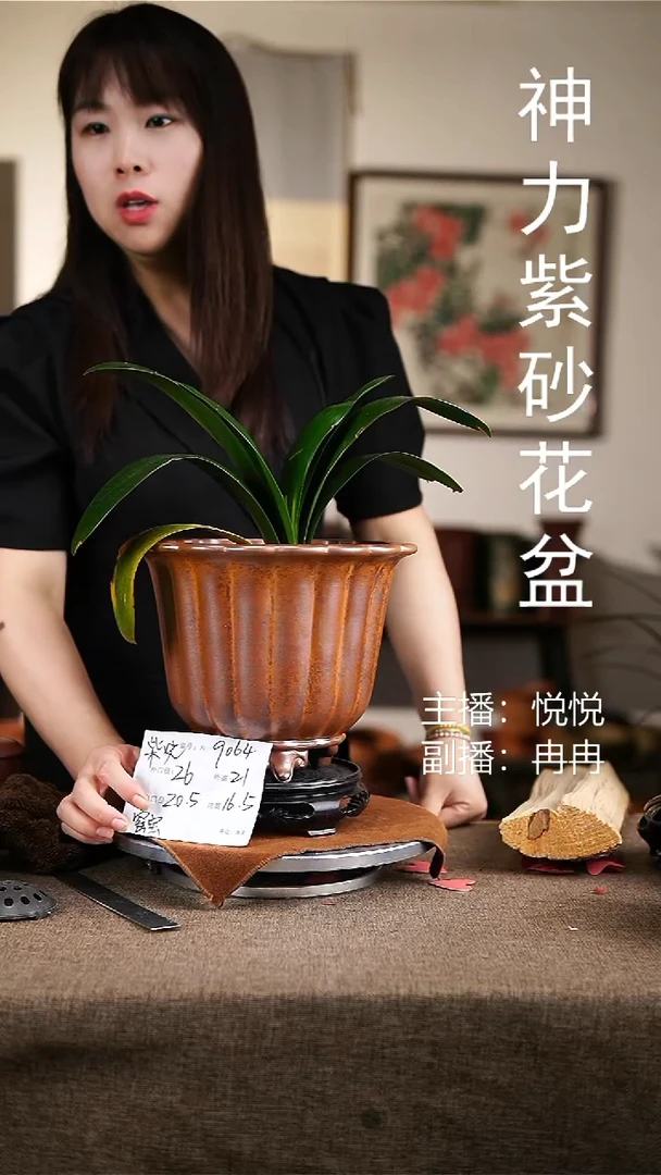 紫砂花盆紫砂花盆9064+s