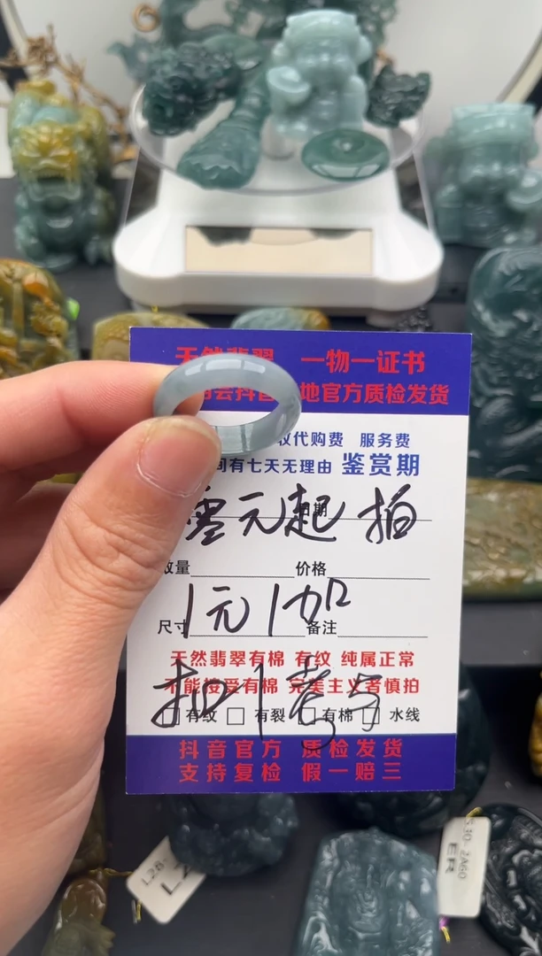 颈饰未镶嵌翡翠戒圈