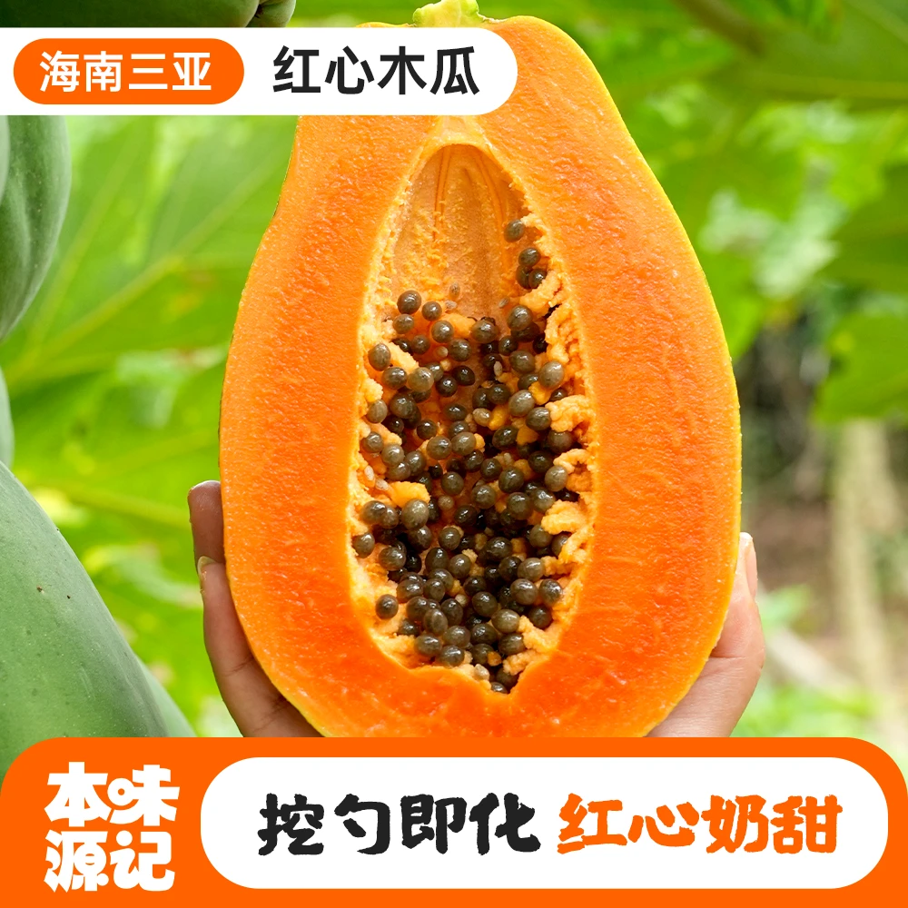 【海南红心木瓜】树上熟香甜软糯果园产地直发应季新鲜水果
