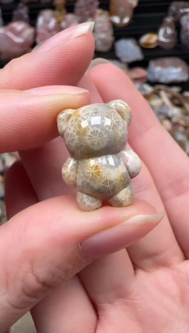 颈饰未镶嵌硅化珊瑚（珊瑚玉）568