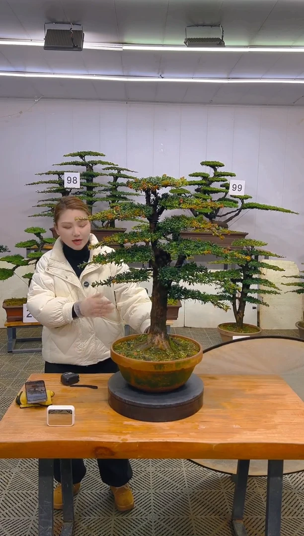 无花朵一物一拍一物一拍
