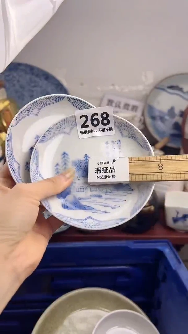 瓷片268..............