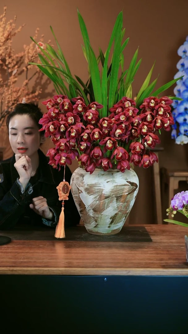 【闪购商品】盆景红袍拱兰 手工