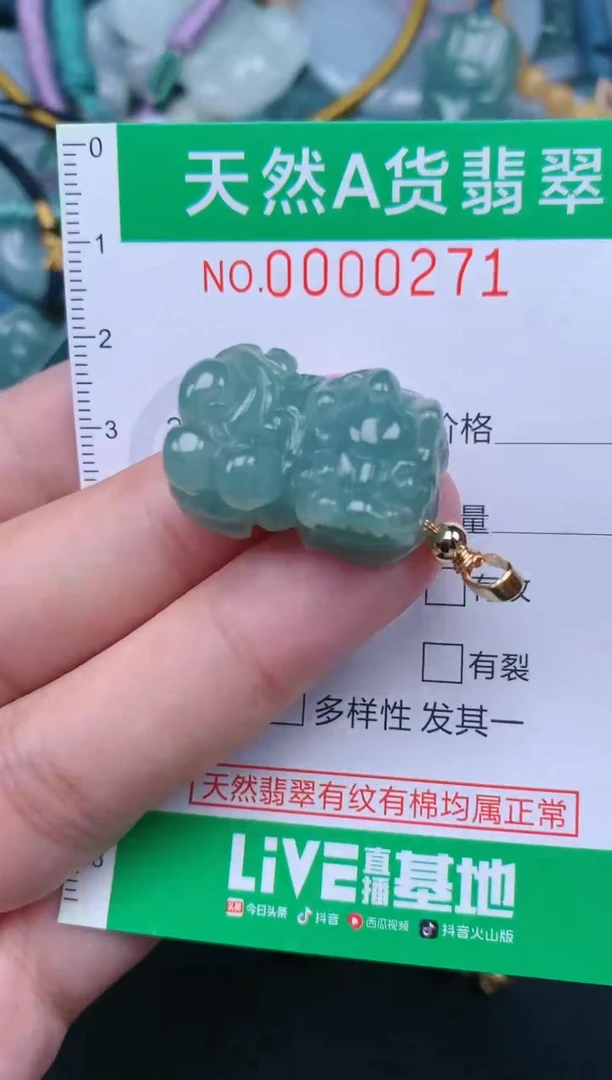 翡翠未镶嵌颈饰.0000271