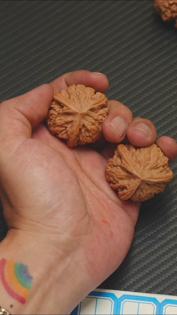 精品御龙粗筋全品39人字