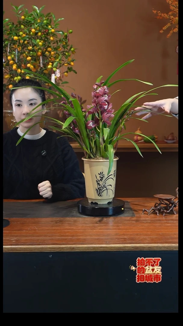 全部花朵红宝石杏色