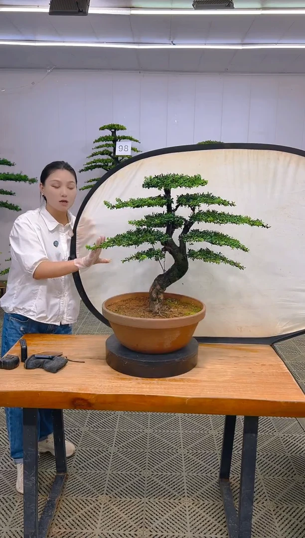 无花朵一物一拍一物一拍